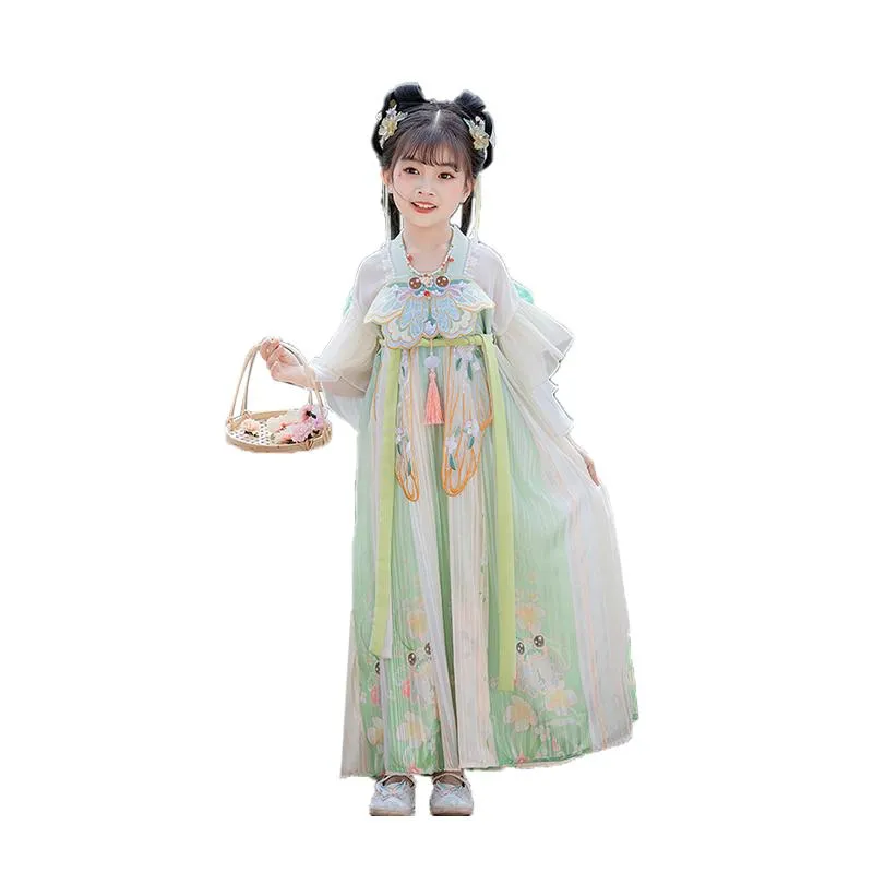 Beautiful Girls' Tang Dynasty Clothes Dress