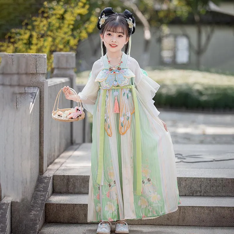 Beautiful Girls' Tang Dynasty Clothes Dress
