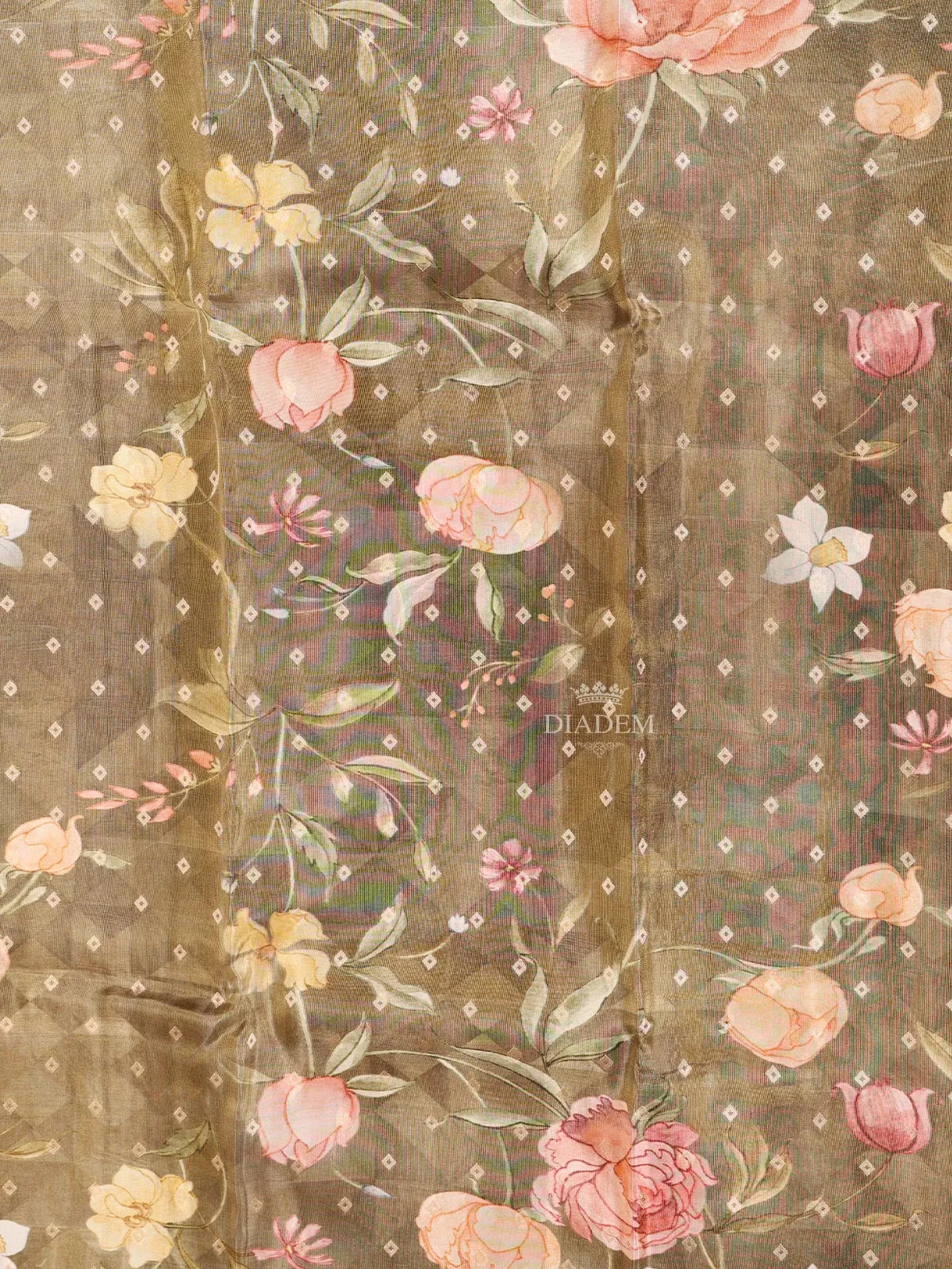 Brown Banarasi Saree with Floral Design on the Body with Designed Border